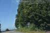 dsc_0570_fs_small.jpg