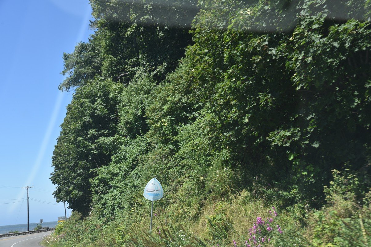 dsc_0571_fs.jpg
