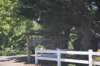 dsc_0579_fs_small.jpg