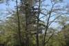 dsc_0587_fs_small.jpg