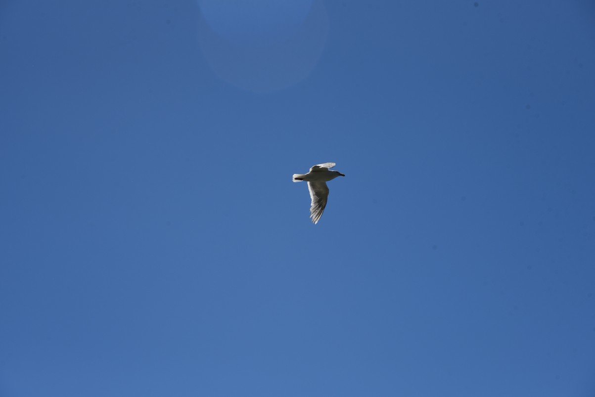 dsc_0647_fs.jpg