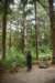dsc_0694_fs_small.jpg