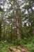 dsc_0695_fs_small.jpg