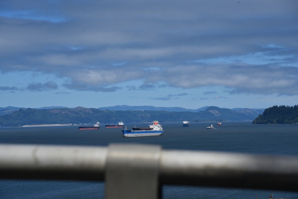 dsc_0806_fs.jpg