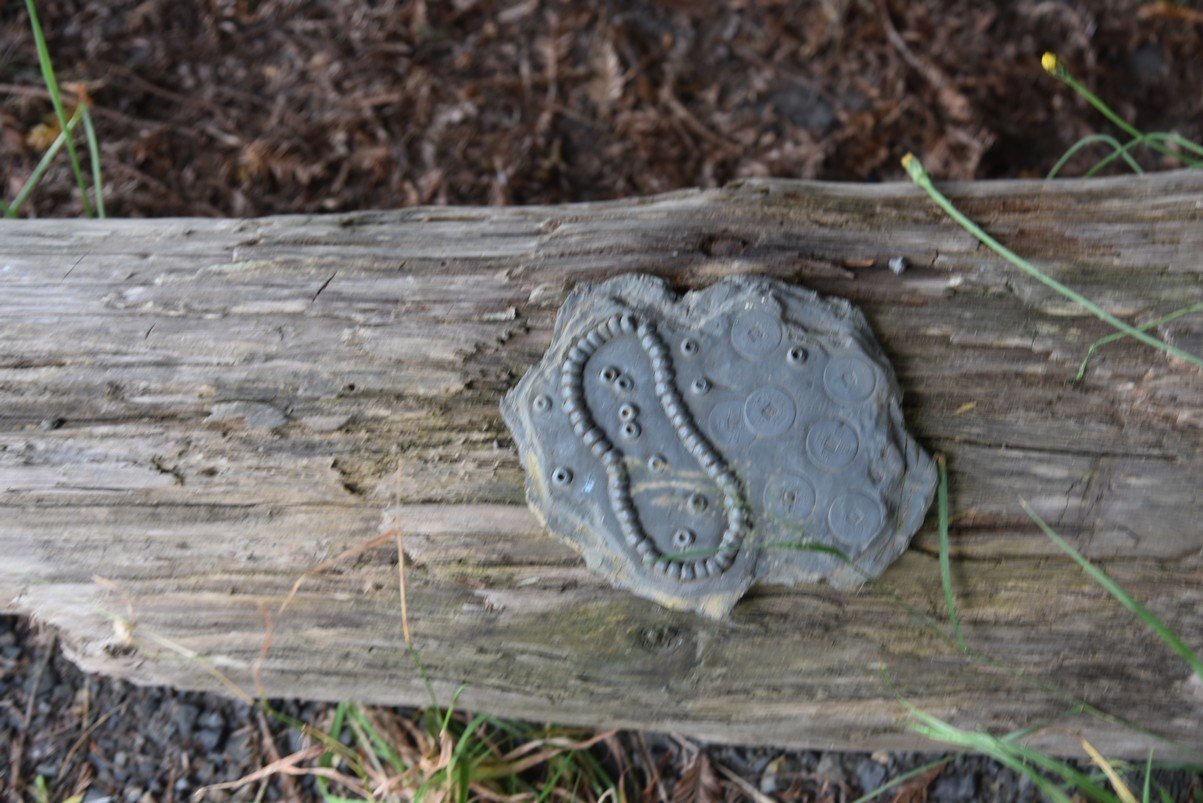 dsc_0864_fs.jpg