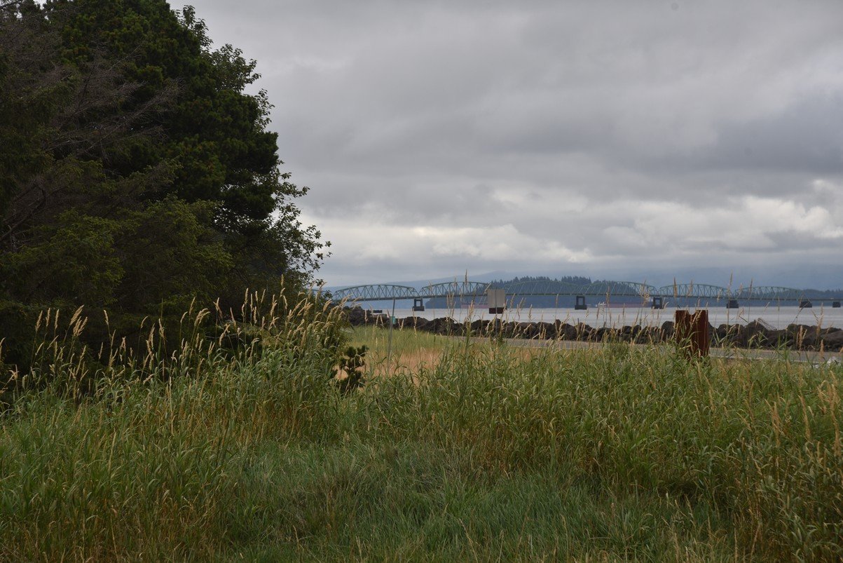 dsc_0890_fs.jpg