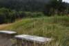 dsc_0896_fs_small.jpg