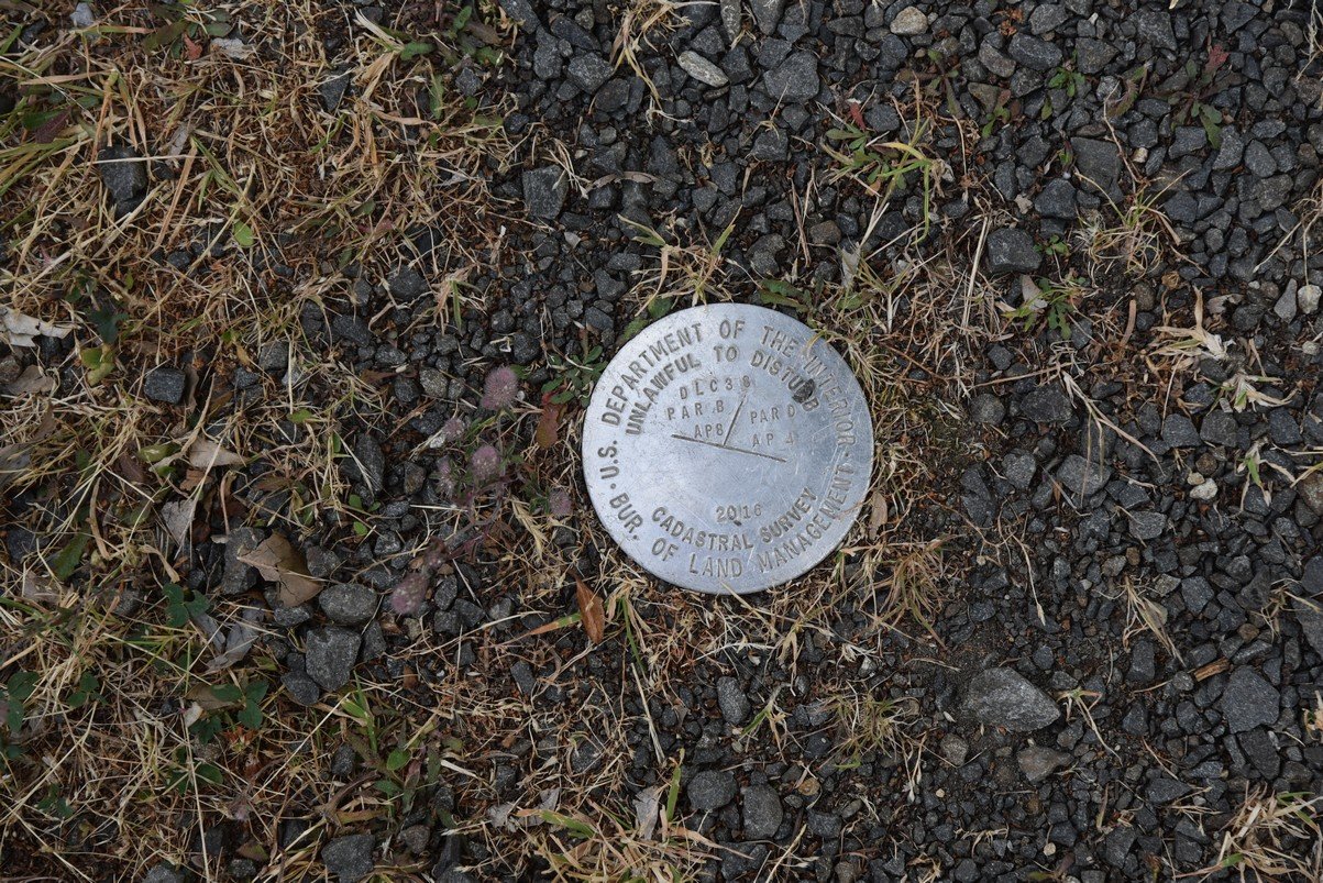 dsc_0909_fs.jpg