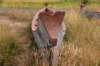 dsc_0911_fs_small.jpg