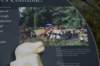 dsc_0915_fs_small.jpg