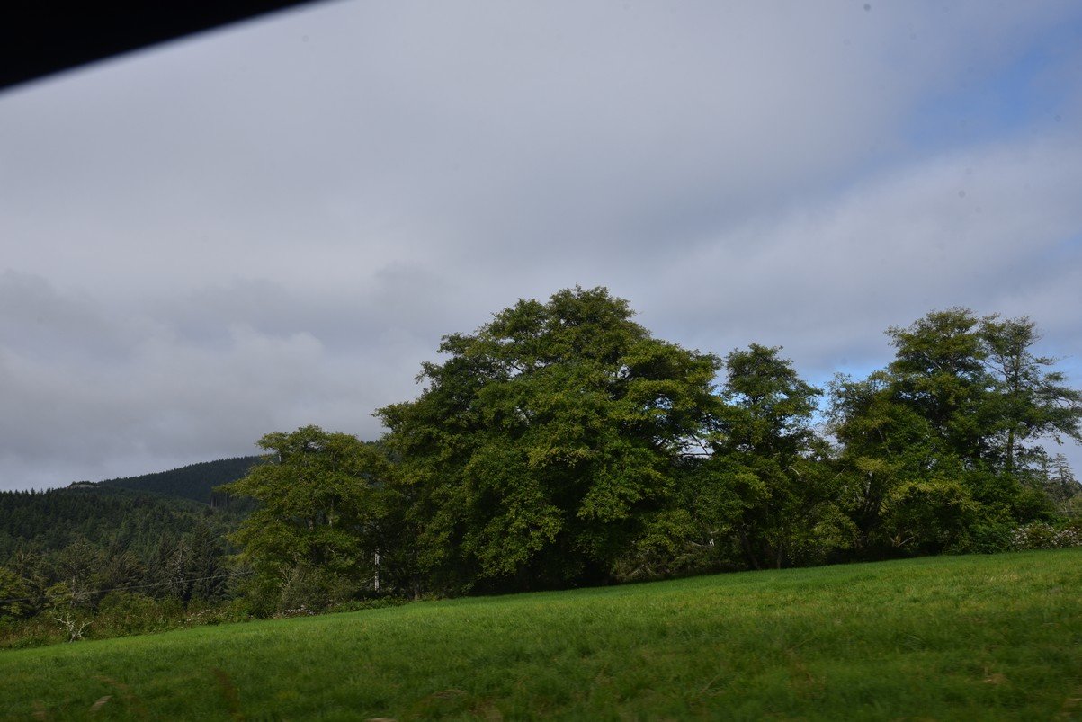dsc_0927_fs.jpg
