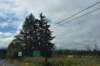 dsc_0929_fs_small.jpg