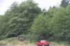 dsc_0931_fs_small.jpg