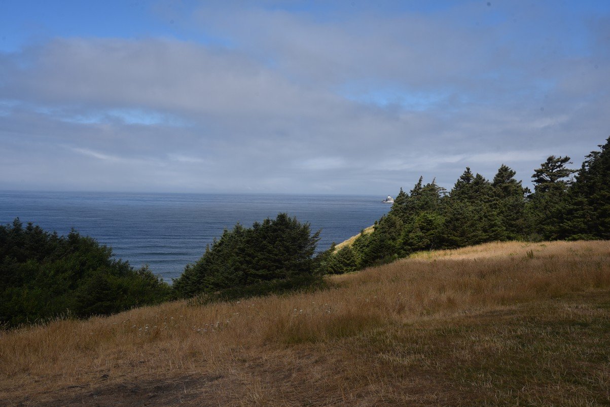dsc_0943_fs.jpg