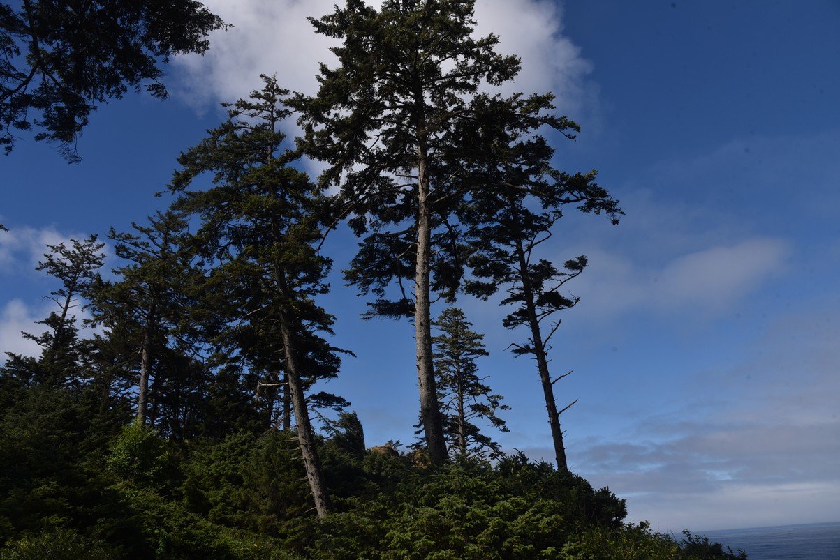 dsc_0957_fs.jpg