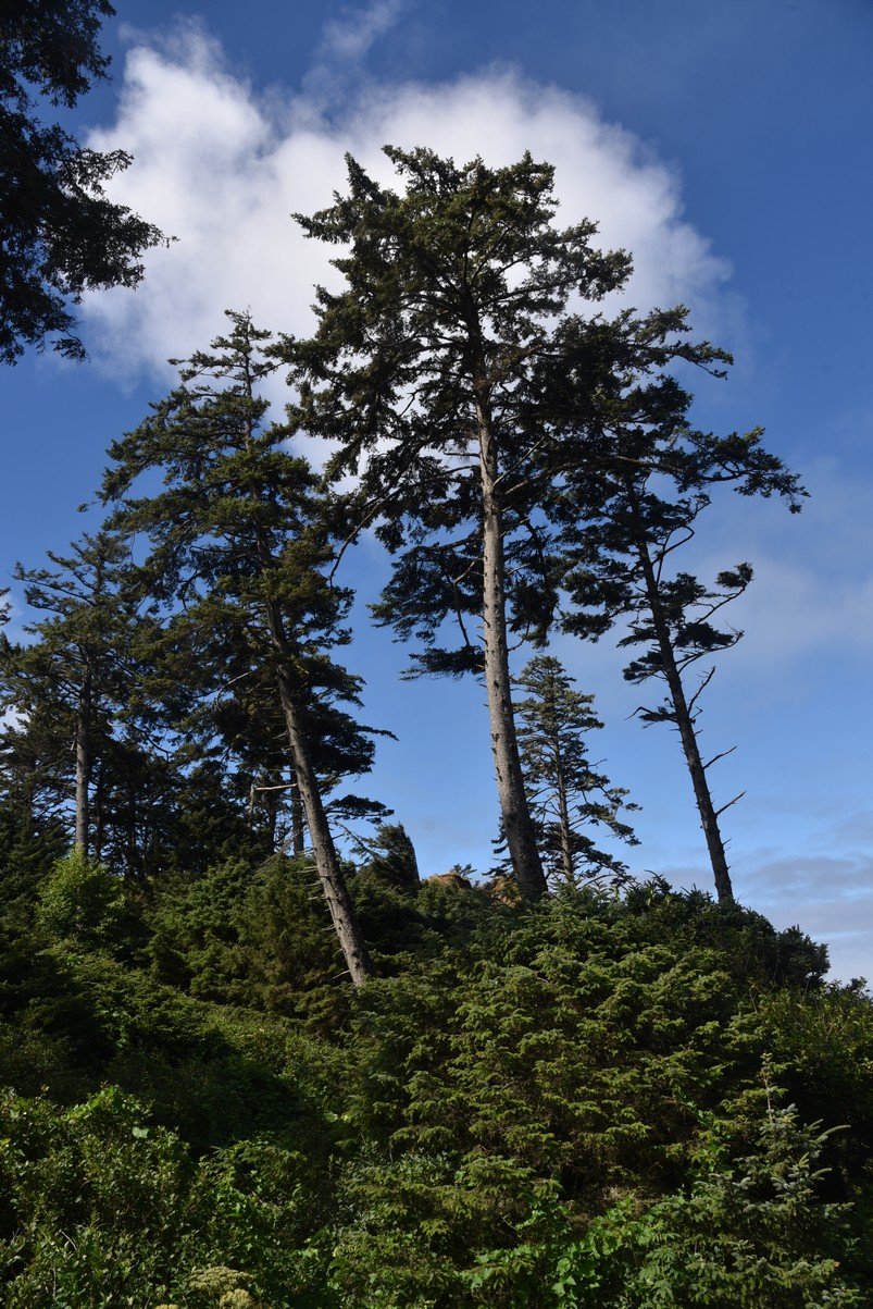 dsc_0958_fs.jpg