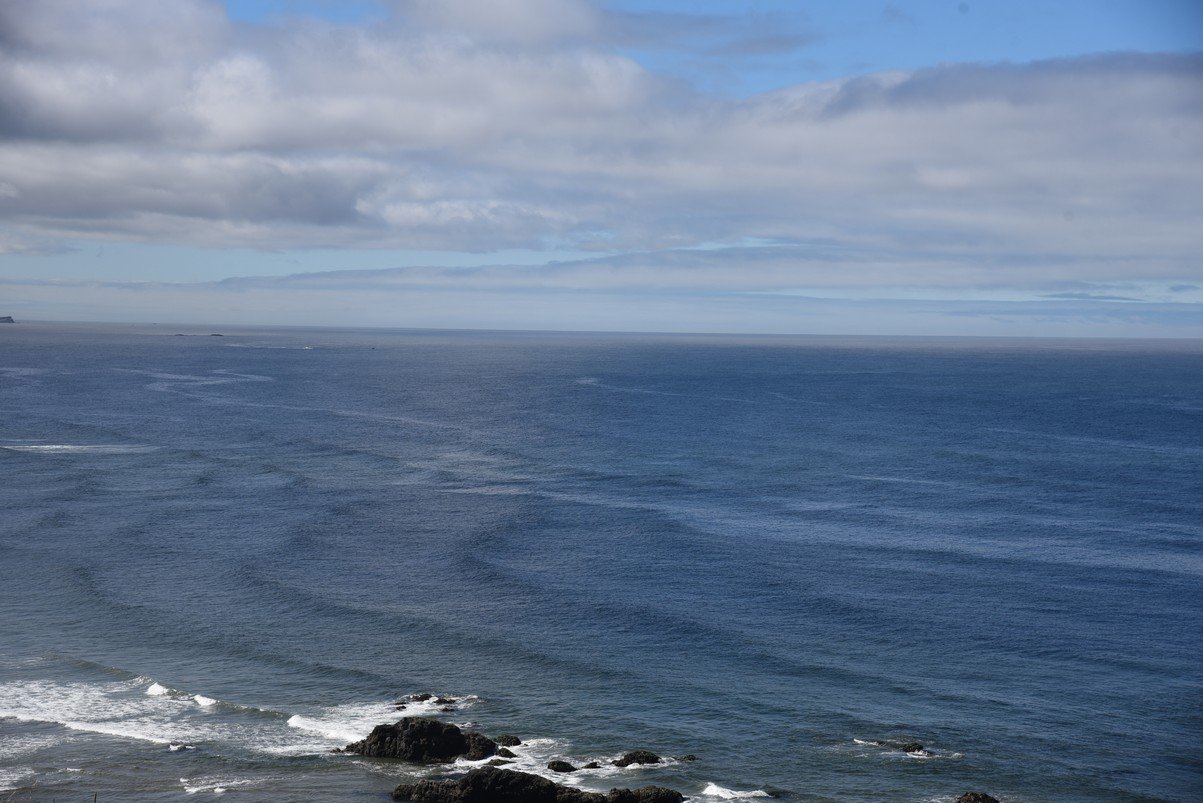 dsc_0966_fs.jpg