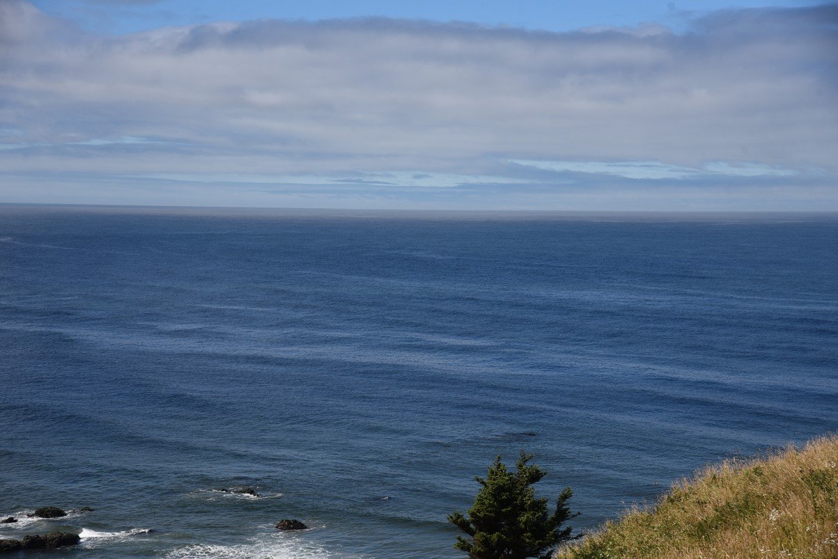 dsc_0967_fs.jpg