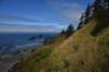 dsc_1000_fs_small.jpg