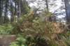 dsc_1002_fs_small.jpg