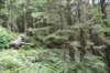 dsc_1004_fs_small.jpg