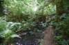 dsc_1005_fs_small.jpg