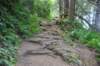 dsc_1007_fs_small.jpg