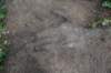 dsc_1008_fs_small.jpg