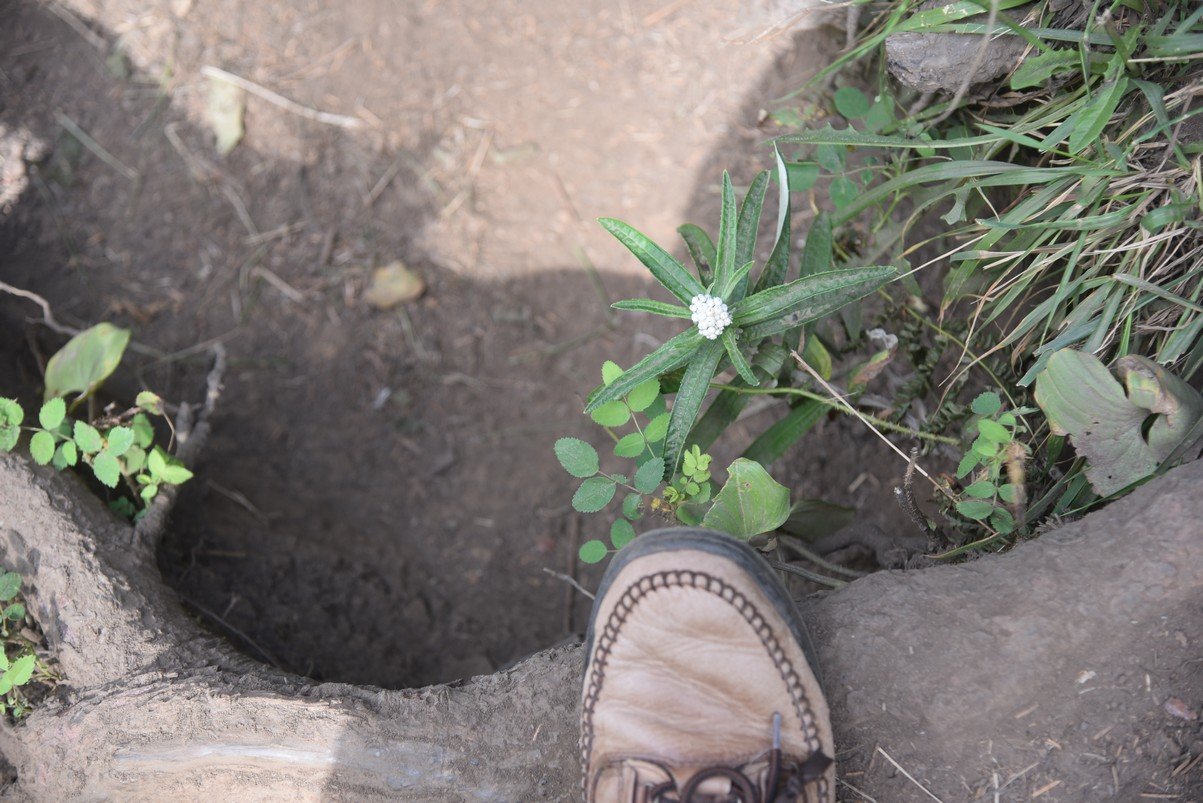 dsc_1009_fs.jpg