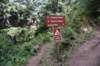dsc_1011_fs_small.jpg