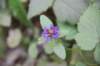 dsc_1013_fs_small.jpg