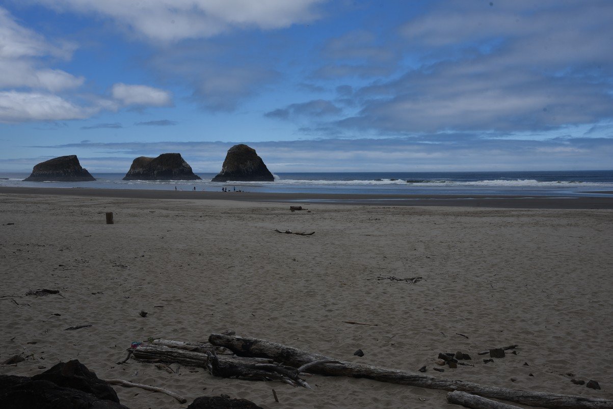 dsc_1020_fs.jpg