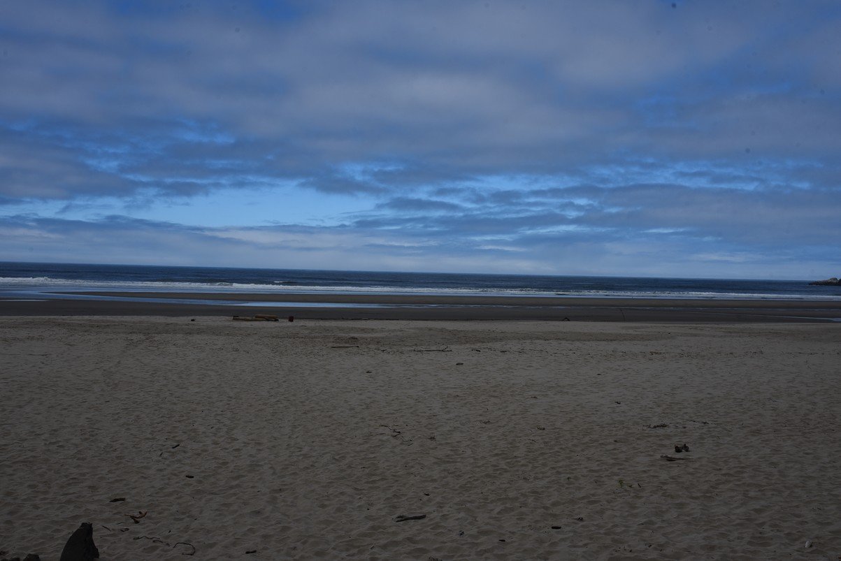 dsc_1022_fs.jpg