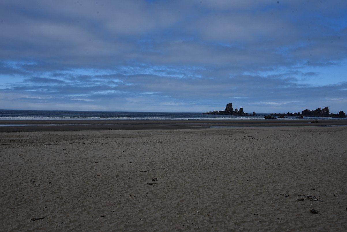 dsc_1023_fs.jpg