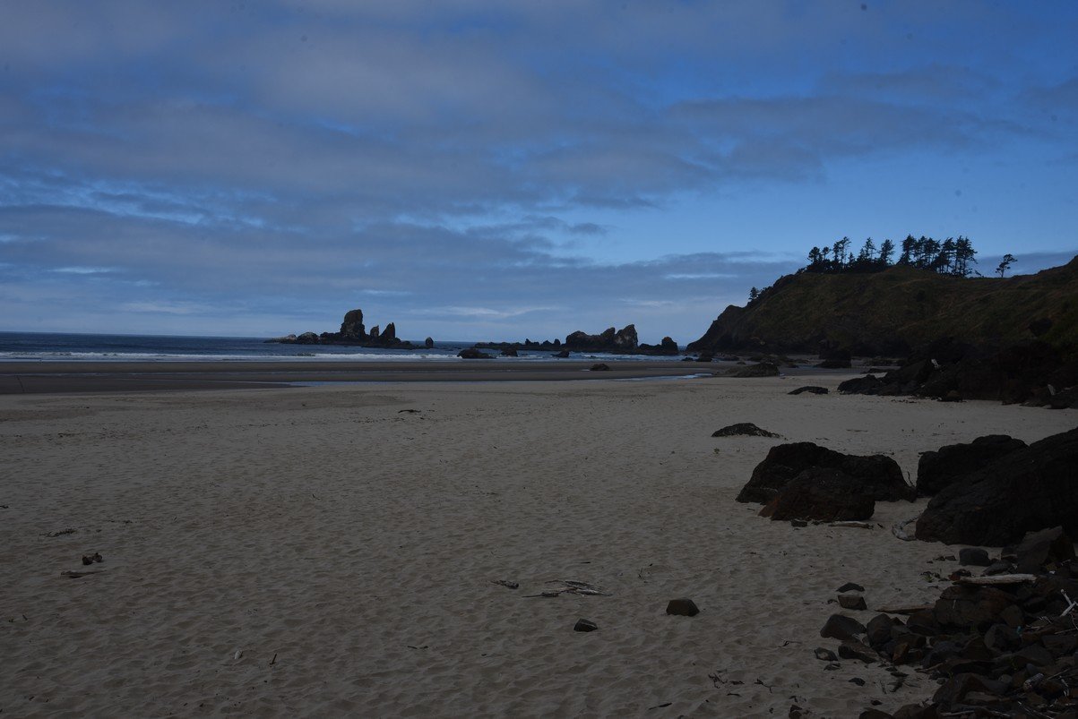 dsc_1024_fs.jpg