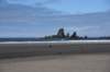 dsc_1027_fs_small.jpg