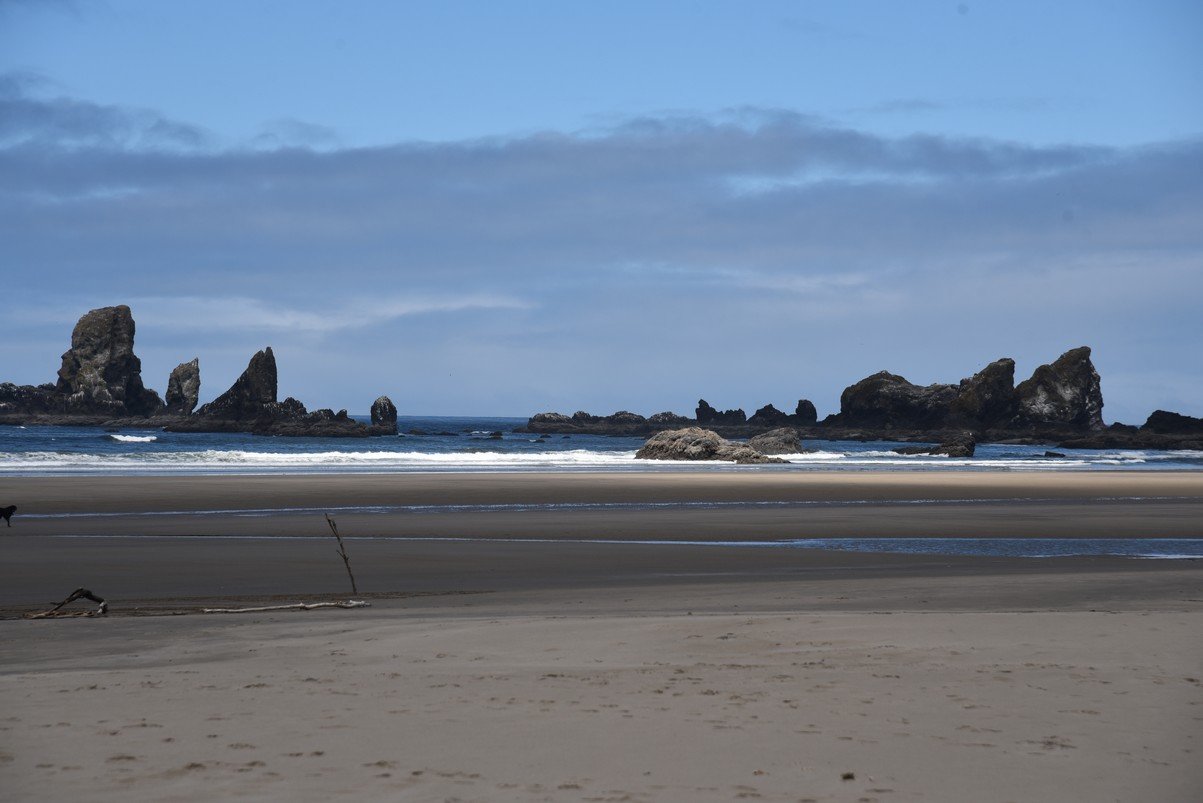dsc_1028_fs.jpg