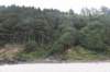 dsc_1033_fs_small.jpg