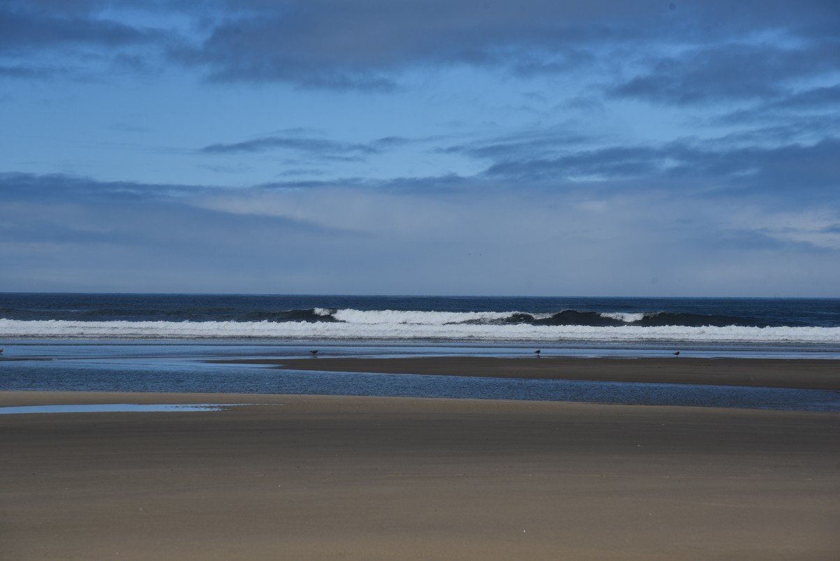 dsc_1040_fs.jpg