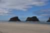 dsc_1049_fs_small.jpg