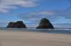 dsc_1050_fs_small.jpg