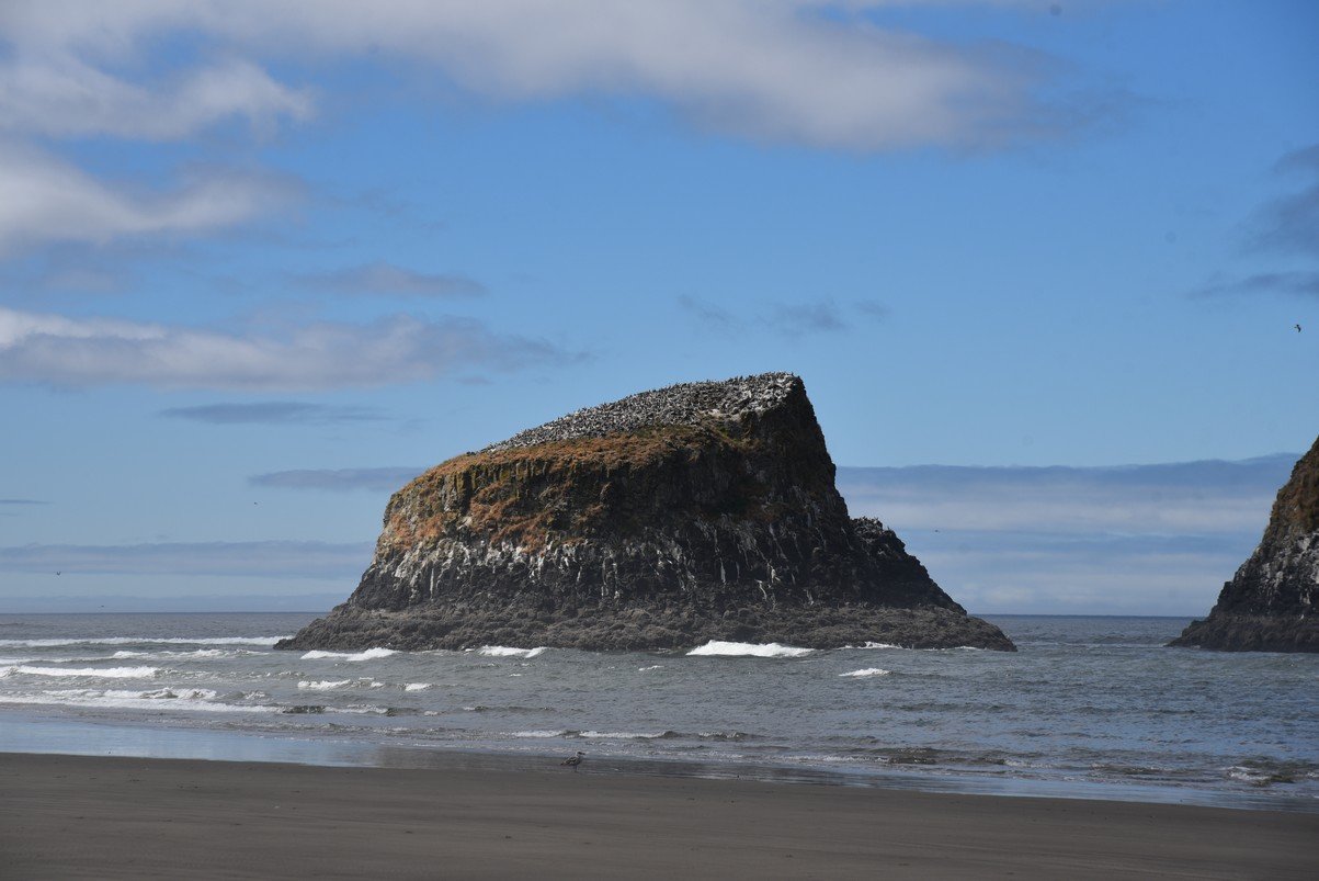 dsc_1055_fs.jpg