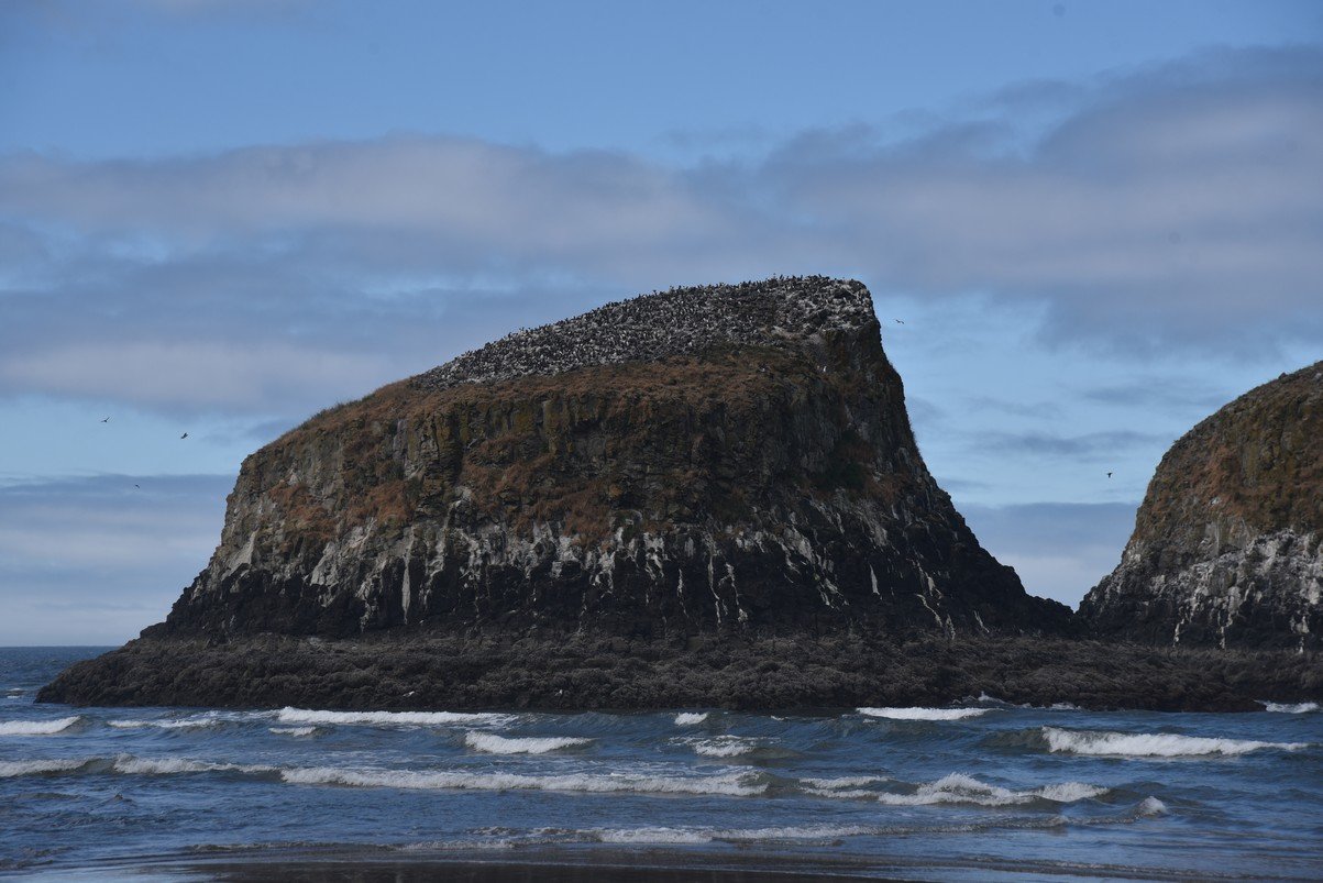 dsc_1057_fs.jpg