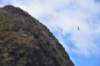 dsc_1058_fs_small.jpg