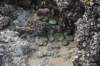 dsc_1060_fs_small.jpg