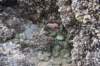 dsc_1061_fs_small.jpg