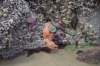 dsc_1062_fs_small.jpg