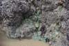 dsc_1064_fs_small.jpg