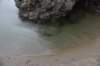 dsc_1072_fs_small.jpg
