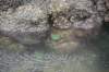 dsc_1073_fs_small.jpg